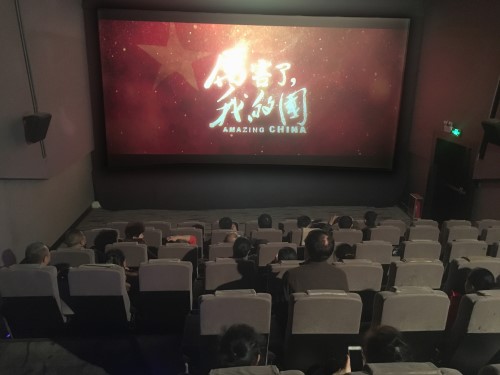 超大人口国家建设现代化_人口老龄化